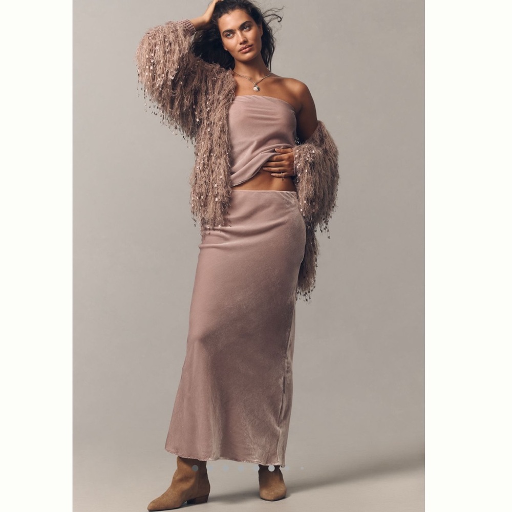 Anthropologie The Tilda Maxi Slip Skirt: Velvet Edition